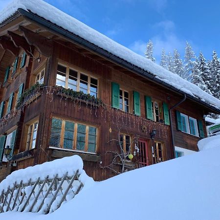 Chalet Schiltwald Innerwengen Wengen Exterior photo
