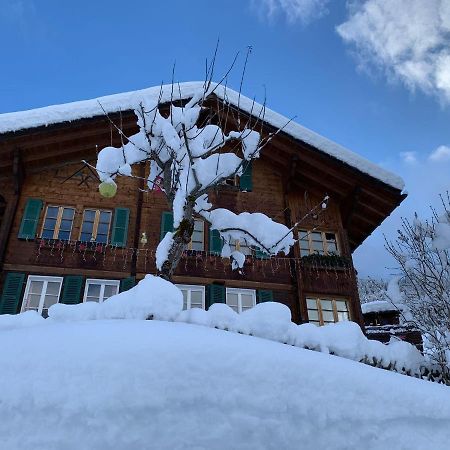 Chalet Schiltwald Innerwengen Wengen Exterior photo
