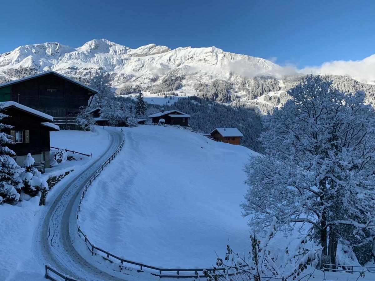 Chalet Schiltwald Innerwengen Wengen Exterior photo