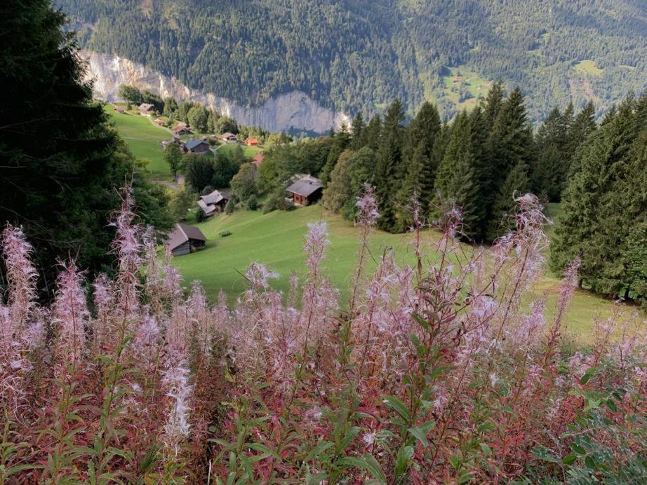 Chalet Schiltwald Innerwengen Wengen Exterior photo