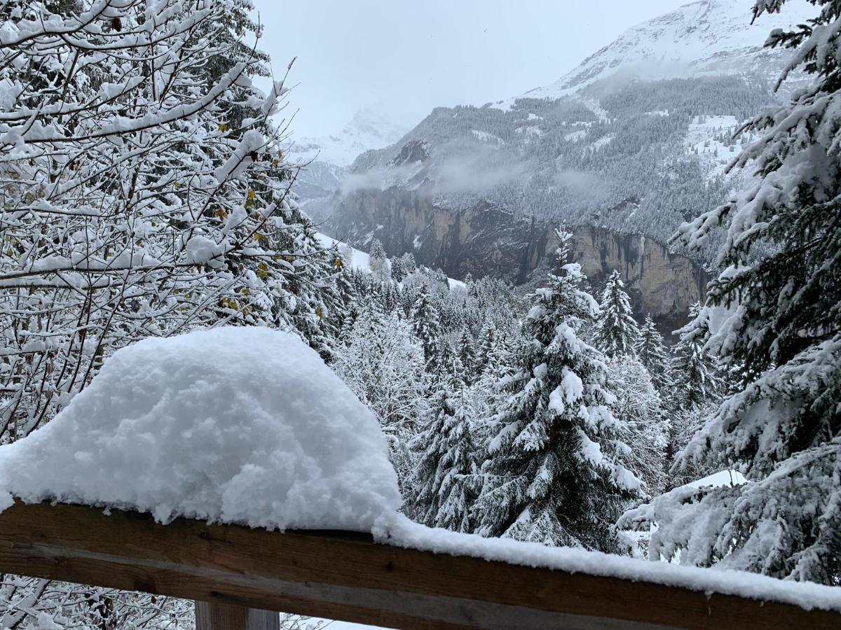 Chalet Schiltwald Innerwengen Wengen Exterior photo