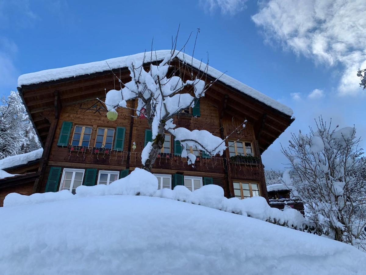 Chalet Schiltwald Innerwengen Wengen Exterior photo