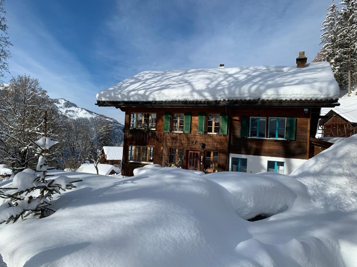 Chalet Schiltwald Innerwengen Wengen Exterior photo